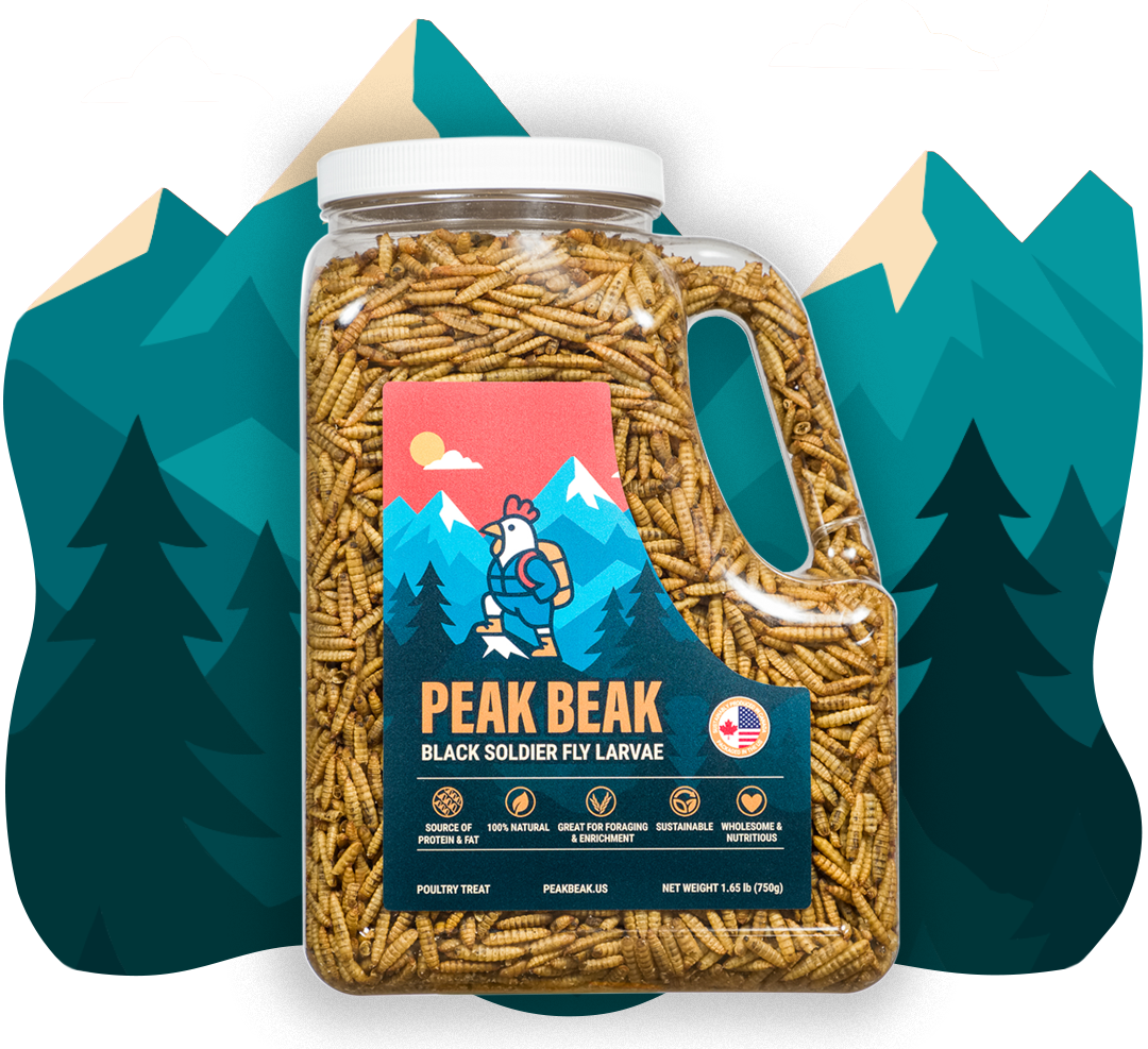 Peak Beak US feature image
