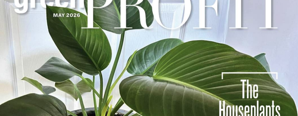 Green Profit May 2026 - Trending products Peak beak.